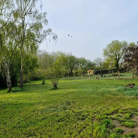 Les Hamac's 12 Personnes * Montravers