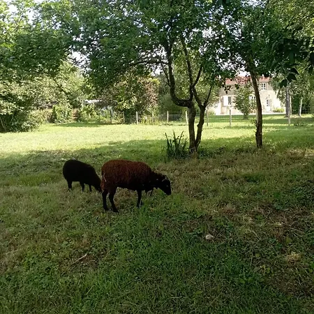 Les Hamac's 12 Personnes בית נופש